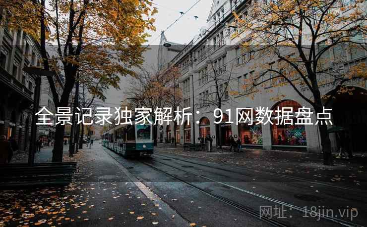 全景记录独家解析:91网数据盘点