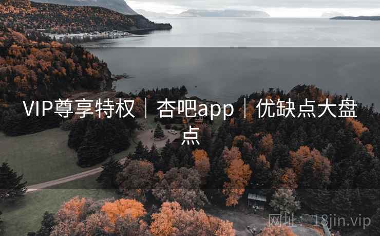 VIP尊享特权|杏吧app|优缺点大盘点