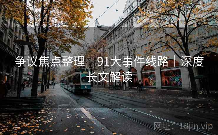争议焦点整理|91大事件线路|深度长文解读