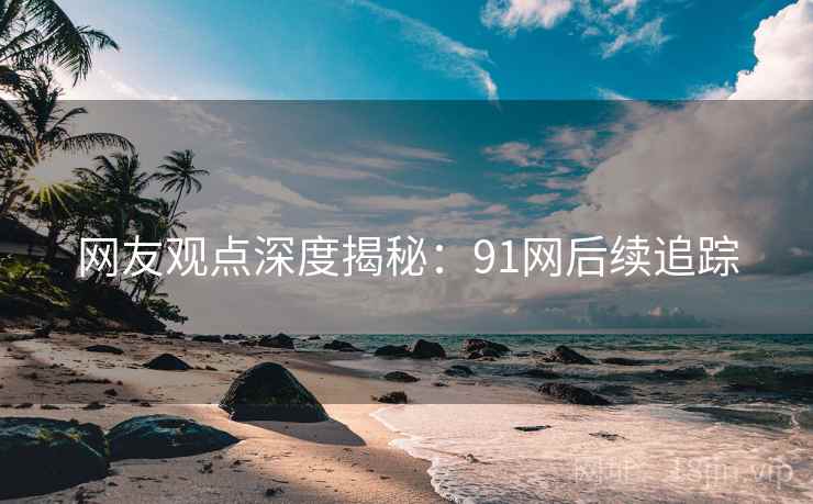 网友观点深度揭秘：91网后续追踪